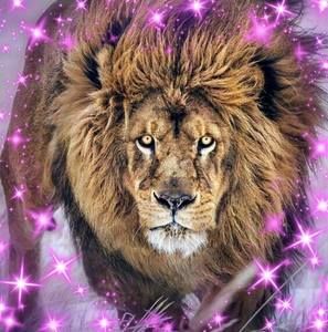 Meet your Posher, Rick